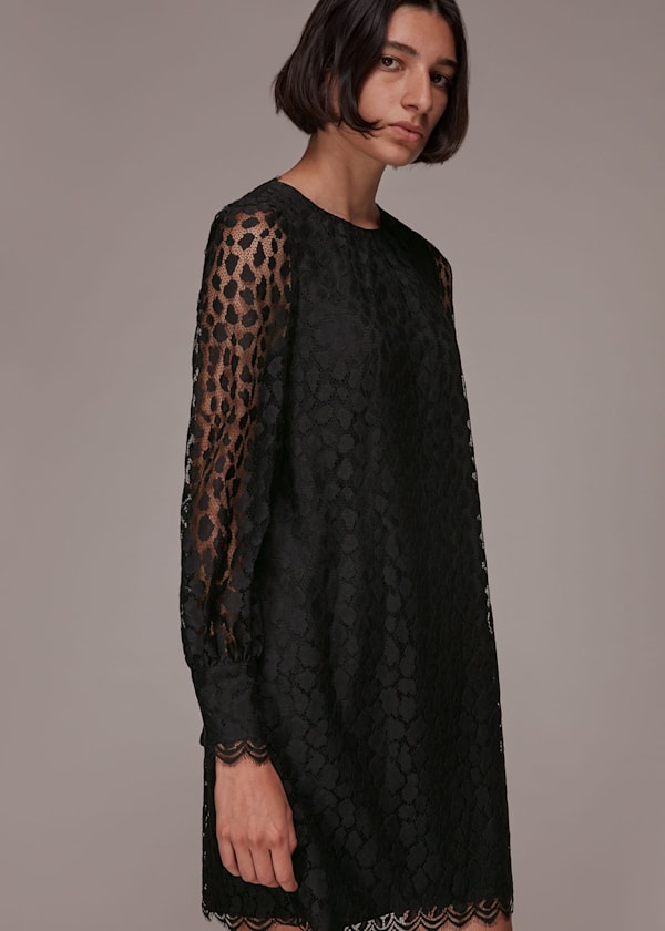 Animal Lace Tie Detail Dress