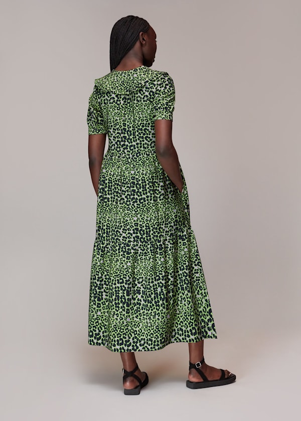 Multicolour Fluro Animal Collar Dress