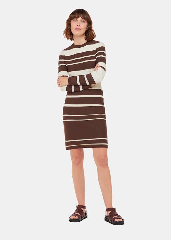 Variegated Stripe Knit Dress