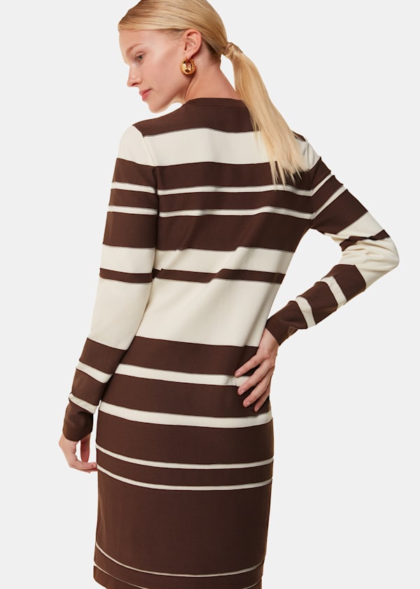 Brown Variegated Stripe Knit Dress