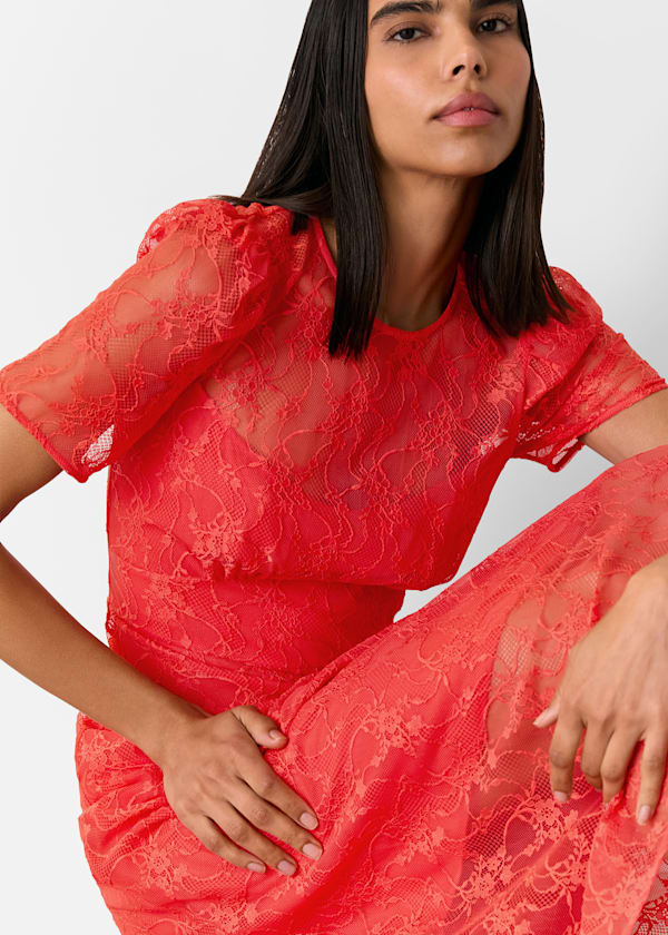 Coral Fay Lace Midi Dress