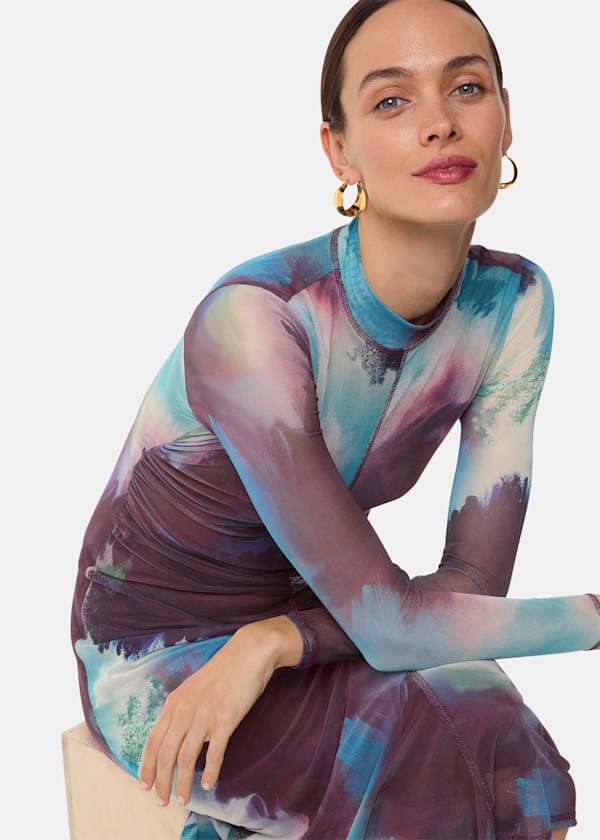 Multicolour Oil Paint Print Mesh Dress