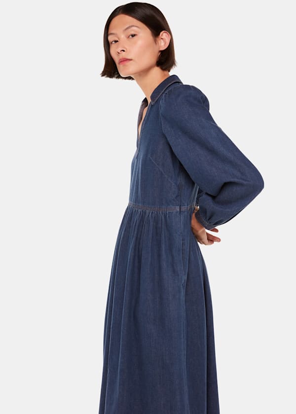 Denim Rina Trapeze Dress