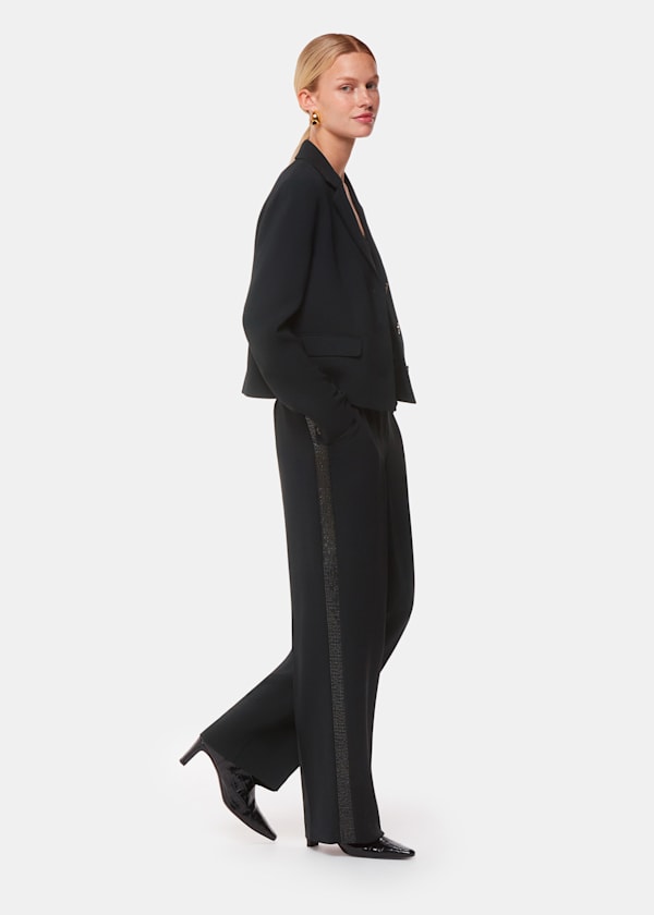 Black Quinn Sequin Stripe Pants 