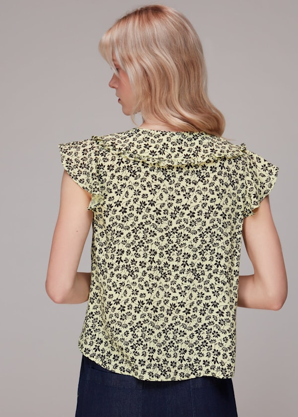 Yellow Buttercup Oversized Collar Top
