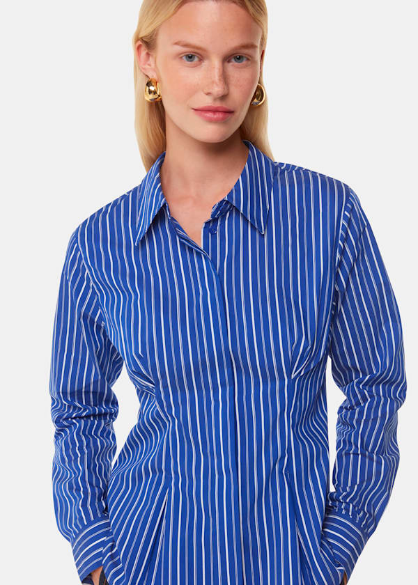 Blue Stripe Waisted Cotton Shirt