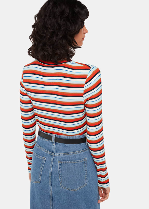Multicolour Stripe Ribbed Crew