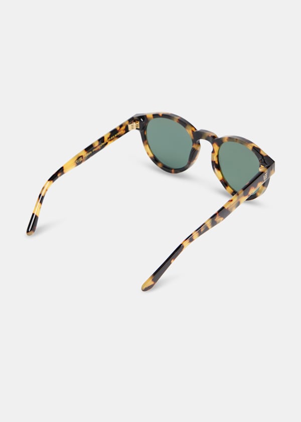 Brown Isle of Eden Eddie Sunglasses