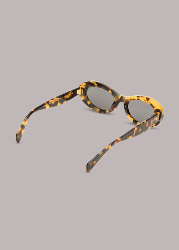 Brown Isle of Eden Franky Sunglasses