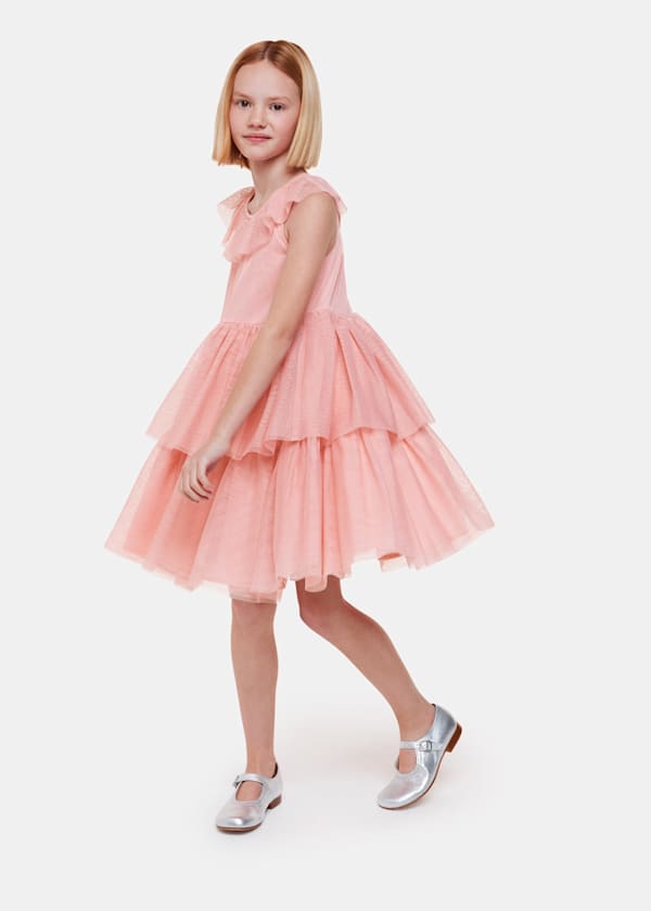 Dusty Pink Tilda Tulle Frill Sleeve Dress